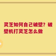 灵芝如何自己破壁？破壁机打灵芝怎么做