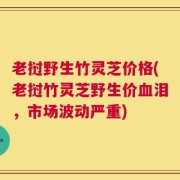 老挝野生竹灵芝价格(老挝竹灵芝野生价血泪，市场波动严重)