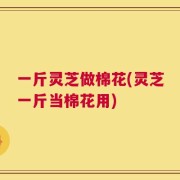 一斤灵芝做棉花(灵芝一斤当棉花用)