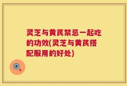 灵芝与黄芪禁忌一起吃的功效(灵芝与黄芪搭配服用的好处)