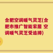 合肥空调暖气灵芝(合肥市推广智能家居 空调暖气灵芝受追捧)