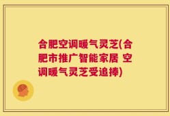 合肥空调暖气灵芝(合肥市推广智能家居 空调暖气灵芝受追捧)