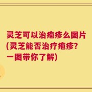 灵芝可以治疱疹么图片(灵芝能否治疗疱疹？一图带你了解)