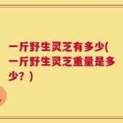 一斤野生灵芝有多少(一斤野生灵芝重量是多少？)