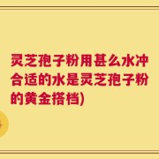 灵芝孢子粉用甚么水冲合适的水是灵芝孢子粉的黄金搭档)