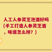 人工人参灵芝泡酒好吗(手工打造人参灵芝酒，味道怎么样？)