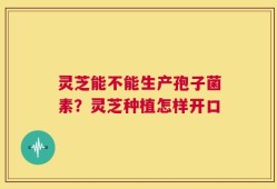 灵芝能不能生产孢子菌素？灵芝种植怎样开口