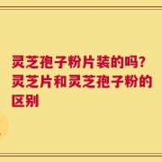 灵芝孢子粉片装的吗？灵芝片和灵芝孢子粉的区别