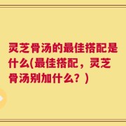 灵芝骨汤的最佳搭配是什么(最佳搭配，灵芝骨汤别加什么？)