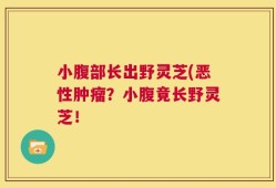 小腹部长出野灵芝(恶性肿瘤？小腹竟长野灵芝！