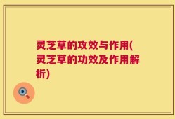 灵芝草的攻效与作用(灵芝草的功效及作用解析)