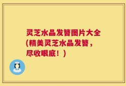 灵芝水晶发簪图片大全(精美灵芝水晶发簪，尽收眼底！)