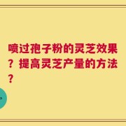 喷过孢子粉的灵芝效果？提高灵芝产量的方法？