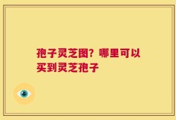 孢子灵芝图？哪里可以买到灵芝孢子