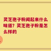 灵芝孢子粉闻起来什么味道？灵芝孢子粉是怎么样的