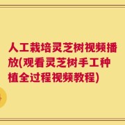 人工栽培灵芝树视频播放(观看灵芝树手工种植全过程视频教程)