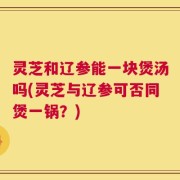 灵芝和辽参能一块煲汤吗(灵芝与辽参可否同煲一锅？)