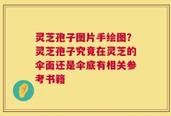 灵芝孢子图片手绘图？灵芝孢子究竟在灵芝的伞面还是伞底有相关参考书籍