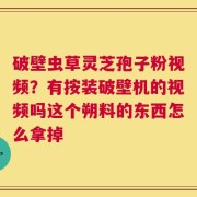 破壁虫草灵芝孢子粉视频？有按装破壁机的视频吗这个朔料的东西怎么拿掉