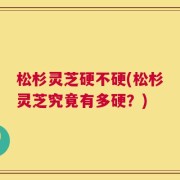 松杉灵芝硬不硬(松杉灵芝究竟有多硬？)