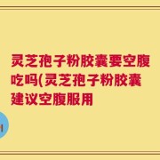 灵芝孢子粉胶囊要空腹吃吗(灵芝孢子粉胶囊建议空腹服用