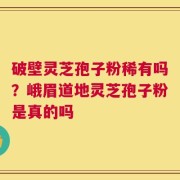 破壁灵芝孢子粉稀有吗？峨眉道地灵芝孢子粉是真的吗