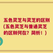 五色灵芝与灵芝的区别(五色灵芝与普通灵芝的区别何在？简析！)