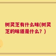 树灵芝有什么味(树灵芝的味道是什么？)