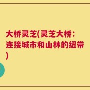 大桥灵芝(灵芝大桥：连接城市和山林的纽带)