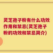 灵芝孢子粉有什么功效作用和禁忌(灵芝孢子粉的功效和禁忌简介)