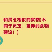和灵芝相似的食物(不同于灵芝：更棒的食物建议！)