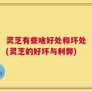灵芝有些啥好处和坏处(灵芝的好坏与利弊)