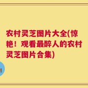 农村灵芝图片大全(惊艳！观看最醉人的农村灵芝图片合集)