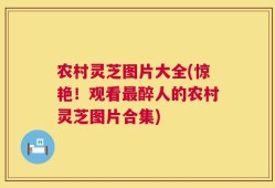 农村灵芝图片大全(惊艳！观看最醉人的农村灵芝图片合集)