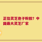 正信灵芝孢子粉胶？中国最大灵芝厂家