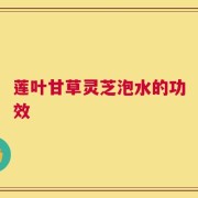 莲叶甘草灵芝泡水的功效