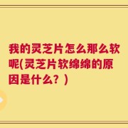我的灵芝片怎么那么软呢(灵芝片软绵绵的原因是什么？)