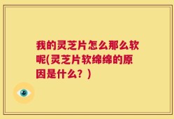 我的灵芝片怎么那么软呢(灵芝片软绵绵的原因是什么？)