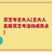 灵芝寺王大人(王大人出席灵芝寺活动成亮点)