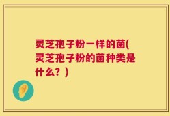 灵芝孢子粉一样的菌(灵芝孢子粉的菌种类是什么？)