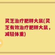 灵芝治疗肥胖大鼠(灵芝有效治疗肥胖大鼠，减轻体重)