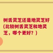 树舌灵芝还是地灵芝好(比较树舌灵芝和地灵芝，哪个更好？)