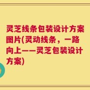灵芝线条包装设计方案图片(灵动线条，一路向上——灵芝包装设计方案)