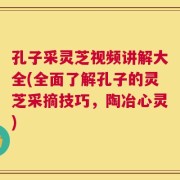 孔子采灵芝视频讲解大全(全面了解孔子的灵芝采摘技巧，陶冶心灵)