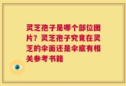 灵芝孢子是哪个部位图片？灵芝孢子究竟在灵芝的伞面还是伞底有相关参考书籍