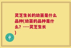 灵芝生长的幼苗是什么品种(幼苗的品种是什么？----灵芝生长)