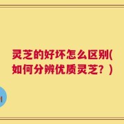 灵芝的好坏怎么区别(如何分辨优质灵芝？)