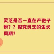 灵芝是否一直在产孢子粉？？探究灵芝的生长周期？