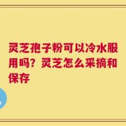 灵芝孢子粉可以冷水服用吗？灵芝怎么采摘和保存