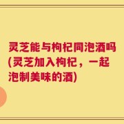灵芝能与枸杞同泡酒吗(灵芝加入枸杞，一起泡制美味的酒)